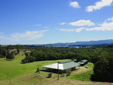 Mixed Farming For Sale - QLD - Yungaburra - 4884 - 135 Acres On Top of the World  (Image 2)