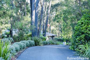 House For Sale - NSW - Bowral - 2576 - Bird Song - Your Tranquil Highlands Escape  (Image 2)