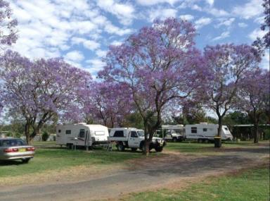 Business Sold - NSW - Gulargambone - 2828 - Gulargambone Caravan Park - Freehold Sale  (Image 2)