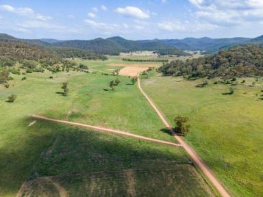Lifestyle For Sale - NSW - Yarrawa - 2328 - LIFESTYLE BLOCKS RANGING FROM 40 ACRES STARTING AT $269,000  (Image 2)