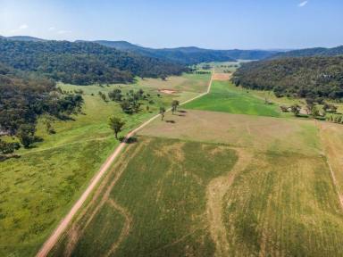 Lifestyle For Sale - NSW - Yarrawa - 2328 - LIFESTYLE BLOCKS RANGING FROM 40 ACRES STARTING AT $269,000  (Image 2)