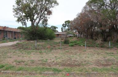 Residential Block For Sale - NSW - Moree - 2400 - Builders Delight!  (Image 2)