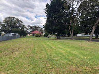 Residential Block For Sale - SA - Lucindale - 5272 - Level Building Allotment of 1,011.87m2  (Image 2)