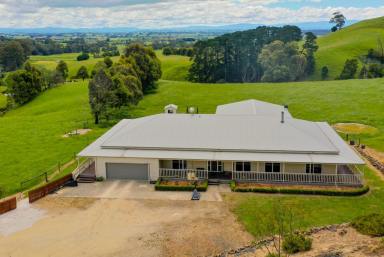 Other (Rural) For Sale - VIC - Ellinbank - 3821 - Escape to the Country - Quality Country Home - 10 mins Warragul Prime Grazing Land  (Image 2)