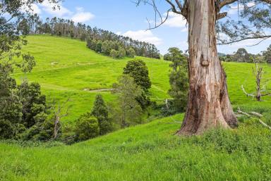 Other (Rural) For Sale - VIC - Ellinbank - 3821 - Escape to the Country - Quality Country Home - 10 mins Warragul Prime Grazing Land  (Image 2)
