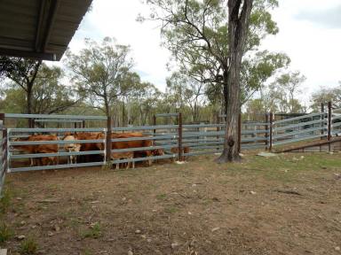 Livestock For Sale - QLD - Boondooma - 4613 - Low Cost Breeder Property, Excellent Position to Southern Markets  (Image 2)