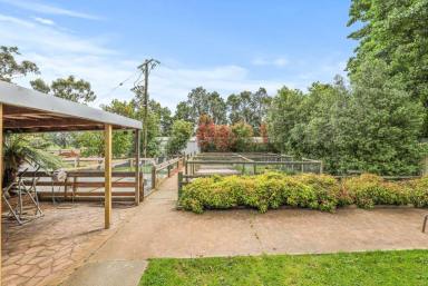 Mixed Farming For Sale - VIC - Yarragon - 3823 - Tegan Park 'Permit for 100 dogs'  (Image 2)