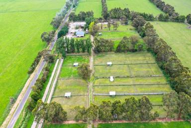 Mixed Farming For Sale - VIC - Yarragon - 3823 - Tegan Park 'Permit for 100 dogs'  (Image 2)