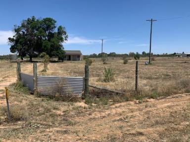 Other (Rural) For Sale - NSW - Curlwaa - 2648 - "A Little Piece of Paradise"  (Image 2)