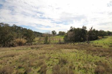 Other (Rural) For Sale - NSW - Quirindi - 2343 - 9.9 ACRES, QUIET LOCATION & SPECTACULAR VIEWS  (Image 2)