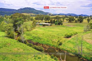 Other (Rural) For Sale - NSW - Gloucester - 2422 - HORSE HEAVEN ON THE WAUKIVORY CREEK  (Image 2)