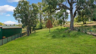 Residential Block For Sale - NSW - Willow Tree - 2339 - RESIDENTIAL BLOCK  (Image 2)