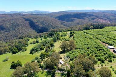 Lifestyle For Sale - VIC - Noojee - 3833 - Self Sufficient Get-Away - In Gods Own Country  (Image 2)