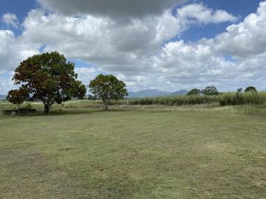 Residential Block For Sale - QLD - Victoria Plains - 4751 - SOUGHT AFTER VICTORIA PLAINS  SO CLOSE TO MACKAY  (Image 2)