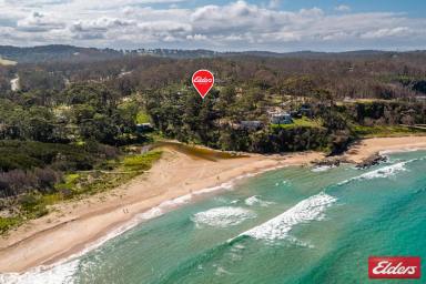 Residential Block Auction - NSW - Rosedale - 2536 - Overlooks Rosedale Beach  (Image 2)
