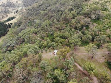 Residential Block For Sale - NSW - Goobarragandra - 2720 - OPEN SPACE!  (Image 2)