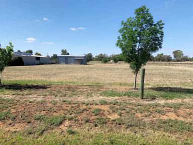 Residential Block For Sale - VIC - Echuca - 3564 - Looking for an Acre-plus block with a Shed?  (Image 2)