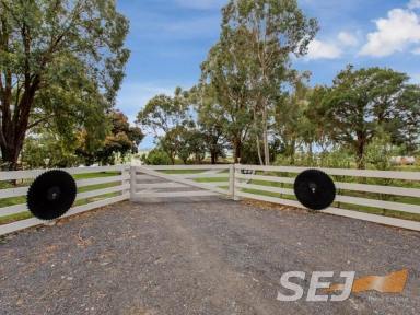 Other (Rural) For Sale - VIC - Drouin South - 3818 - The Great Escape  (Image 2)