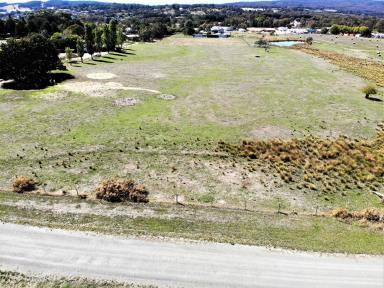 Residential Block For Sale - VIC - Beechworth - 3747 - A SUBDIVISION WITH SPACE - 1/2 - 1 ACRE BLOCKS  (Image 2)