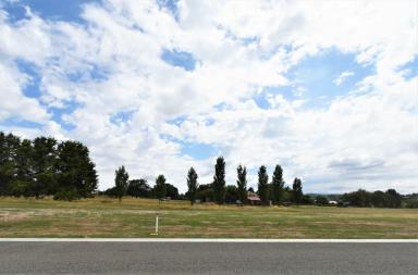 Residential Block For Sale - VIC - Beechworth - 3747 - A SUBDIVISION WITH SPACE - 1/2 - 1 ACRE BLOCKS  (Image 2)