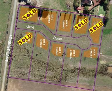 Residential Block For Sale - VIC - Beechworth - 3747 - A SUBDIVISION WITH SPACE - 1/2 - 1 ACRE BLOCKS  (Image 2)