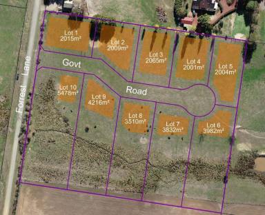 Residential Block For Sale - VIC - Beechworth - 3747 - A SUBDIVISION WITH SPACE - 1/2 - 1 ACRE BLOCKS  (Image 2)