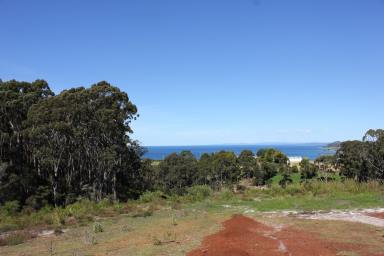 Acreage/Semi-rural For Sale - TAS - Heybridge - 7316 - Build your Dream Home  (Image 2)