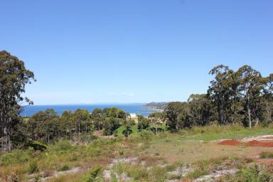 Acreage/Semi-rural For Sale - TAS - Heybridge - 7316 - Build your Dream Home  (Image 2)