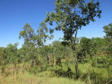 Residential Block For Sale - NT - Adelaide River - 0846 - Highway Frontage 15 klms South of Adelaide River  (Image 2)