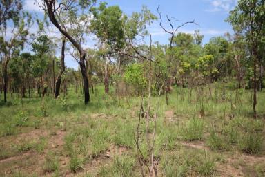 Residential Block For Sale - NT - Adelaide River - 0846 - Highway Frontage 15 klms South of Adelaide River  (Image 2)