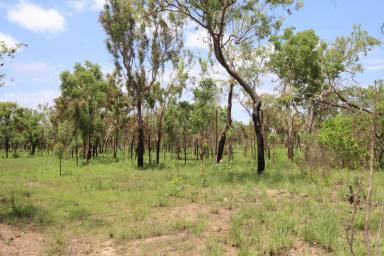 Residential Block For Sale - NT - Adelaide River - 0846 - Highway Frontage 15 klms South of Adelaide River  (Image 2)
