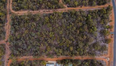 Residential Block For Sale - WA - Parkerville - 6081 - RARE EARTH  (Image 2)