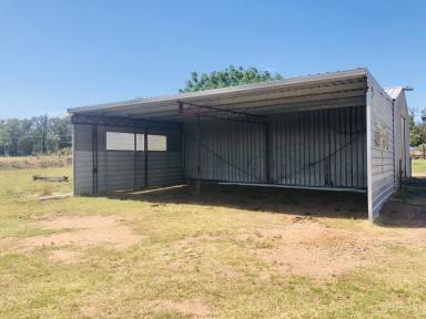 House Leased - NSW - Dubbo - 2830 - Rural Living  (Image 2)