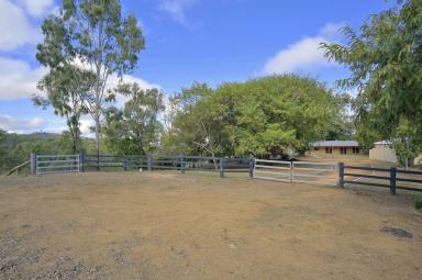 Lifestyle For Sale - QLD - Moolboolaman - 4671 - 15M X 10M HIGH CLEARANCE SHED + 26.3 FENCED ACRES + 4 BEDROOM HOME + 2 BATHROOMS + 9M X 7M CARPORT  (Image 2)