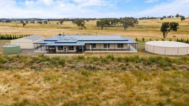 Lifestyle For Sale - NSW - Goulburn - 2580 - Large Home on Good Grazing Land  (Image 2)