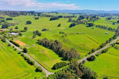 Mixed Farming For Sale - VIC - Warragul - 3820 - 37.5 Acres - Prime Horticultural Intensive Farming Opportunity  (Image 2)