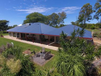 Livestock For Sale - NSW - Kyogle - 2474 - TWO HOUSES, 100 ACRES - STRATHEDEN  (Image 2)