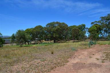 Residential Block For Sale - NSW - Tumut - 2720 - Beautiful high country!  (Image 2)