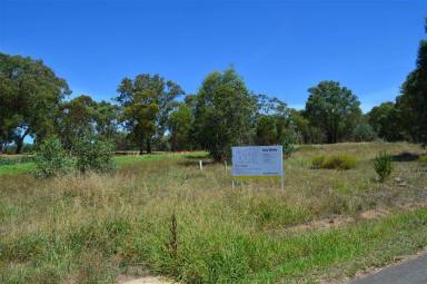 Residential Block For Sale - NSW - Tumut - 2720 - Beautiful high country!  (Image 2)