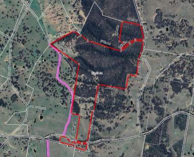 Lifestyle For Sale - NSW - Goulburn - 2580 - Endless Views  (Image 2)