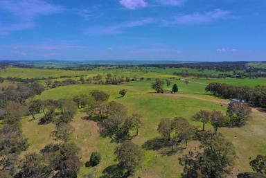 Lifestyle For Sale - NSW - Goulburn - 2580 - Endless Views  (Image 2)