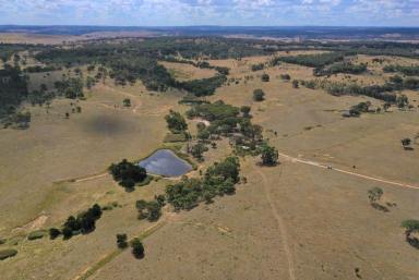 Lifestyle For Sale - NSW - Goulburn - 2580 - 419 Acres Close To Goulburn  (Image 2)