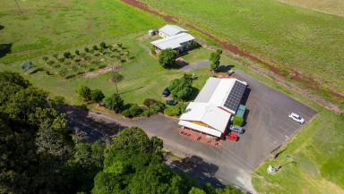 Business For Sale - QLD - Tolga - 4882 - SPECIALTY GROCERY STORE ESTABLISHED IN 1969  (Image 2)