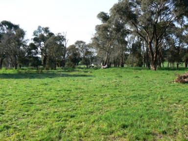 Lifestyle For Sale - VIC - Forrest - 3236 - 2.8 ACRES IN FORREST  (Image 2)