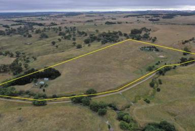 Lifestyle For Sale - NSW - Crookwell - 2583 - COUNTRY ESCAPE  (Image 2)