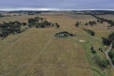 Lifestyle For Sale - NSW - Crookwell - 2583 - COUNTRY ESCAPE  (Image 2)