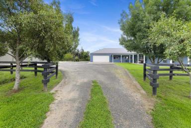 Mixed Farming For Sale - VIC - Yarragon - 3823 - Modern Luxury Home with 50 prime grazing acres  (Image 2)