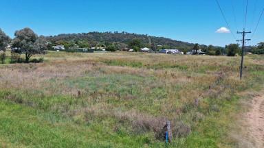 Residential Block For Sale - NSW - Quirindi - 2343 - LARGE RESIDENTIAL BLOCK  (Image 2)