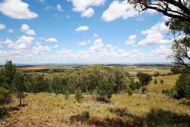 Residential Block For Sale - NSW - Quirindi - 2343 - 6.2 ACRES WITH OUTSTANDING VIEWS  (Image 2)