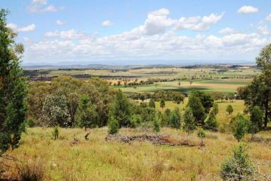 Residential Block For Sale - NSW - Quirindi - 2343 - 6.2 ACRES WITH OUTSTANDING VIEWS  (Image 2)